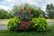 Beautiful Garden Park design. Blooming blossom red scarlet blue petunia bush flowers close up view. Round flowers bed. Urban