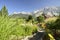 Beautiful garden in ramsau dachstein austria with mauntains in the back