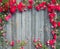 Beautiful garden red roses on weathered wood retro styled textured background. Romantic floral frame background.
