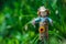 Beautiful garden scarecrow guards the garden and harvest