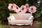 Beautiful garden vintage pink sofa in summer day. Interior wedding decor. Classic sofa decorated with large flowers in spring gard