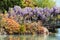 Beautiful gardens overhanging a foot bridge