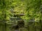 Beautiful generic natural stream background, with trees fallen across and rocks. Peaceful, idyllic. Bit overgrown.