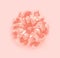 Beautiful gentle flower on pastel pink background. Trendy Living Coral colour
