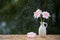 Beautiful Gerbera daisy flowers in vase on wooden table outdoors under the rain with droplets, small depth of field