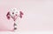 Beautiful gerbera flowers bunch with ribbon standing on pastel pink background. Copy space