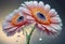 Beautiful gerbera flowers with water drops on the petals, macro, generative ai