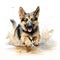 Beautiful German Shepherd dog running through a puddle. Watercolour painting isolated on white background