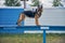 Beautiful German Shepherd dog standing on bench