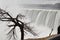 Beautiful gigantic frozen Horseshoe Niagara Waterfalls with a big tree on a frozen spring day in Niagara Falls in Ontario, Canada