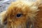 A beautiful ginger rabbit is sitting close-up in a basket