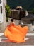 Beautiful girl in amazing fluttering orange dress.