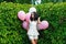 Beautiful girl with balloons in green hedgerow