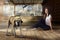 Beautiful girl and barking watchdog outdoors at wooden veranda