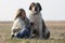 Beautiful girl with blonde hair and her big St. Bernard dog