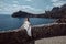 A beautiful girl, bride, in a white dress sits a stone fence, on a cliff against the background of the ocean and mountains.