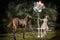 Beautiful girl with brown curly hair in wonderful dress ute posing smiling with colorful balloons and horse in fairytale forest