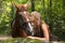 Beautiful girl and brown horse portrait in mysterious forest