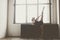 Beautiful girl dancer in black clothes,in beautiful pose,raised straight leg over her head,Fuete against window background. Silhou