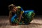 Beautiful girl dancer of Indian classical dance