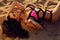 Beautiful girl with dark hair in elegant bright bikini posing on beach