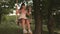 Beautiful girl in a dress in a park on a swing flies. young girl swinging on a rope swing on an oak branch. teen girl