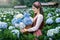 Beautiful girl enjoying blooming blue hydrangeas flowers in garden, Chiang mai, Thailand