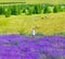 Beautiful girl enjoying lavender field