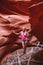 Beautiful girl exploring Lower Antilope Canyon in Arizona