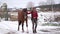 A beautiful girl in a fashionable shirt walks with trakehner horse in early winter.