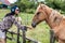 A beautiful girl in glasses and with a bandana on her head feeds the horses in the meadow. Blurred background