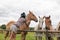 A beautiful girl in glasses and with a bandana on her head strokes the horses in the meadow. Blurred background