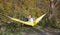 Beautiful girl in a hammock in the forest