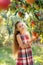 Beautiful girl harvests apples. Apple orchard.