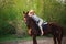 Beautiful girl in a hat riding a horse in countryside