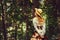 Beautiful girl in a hat in a vintage dress walking in a Summertime park