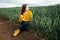 Beautiful girl with jeans, a yellow sweater and boots sits near an early wheat field