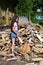 beautiful girl with long hair in white T-shirt and denim shorts puts firewood in pile. Concept of harvesting firewood for winter.