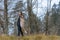 A beautiful girl with long hair with wireless headphones in her ears in a raincoat walks on the grass in a deserted place against