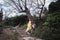 Beautiful girl on the nature in a yellow dress sitting on a large tree