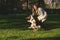 Beautiful girl in the park doing obedience excersize with her dog Cavalier King Charles Spaniel