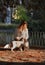 Beautiful girl in the park enjoying with her dog Cavalier King Charles Spaniel