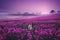 A beautiful girl in a pink dress standing with a lantern full of magic lights in a large pink field of willow herb.