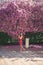 Beautiful girl posing to the photographer against the background of blooming pink trees. Spring. Sakura.