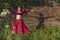 Beautiful girl in red dress dances incendiary dance on summer meadow against of hedge.