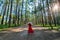 Beautiful girl in red dress walking in pine tree forest or Suan Son Bor Kaew in Chiang mai province, Thailand