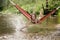 Beautiful girl riding in a hammock over the water.