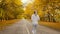 Beautiful girl in sportswear engaged in sports outdoors, woman walks along the asphalt road and start running along autumn nature,