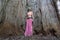 A beautiful girl is standing inside the trunk of an old baobab tree on the island of Zanzibar, Tanzania, Africa