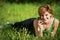 Beautiful girl talking on the phone on the grass